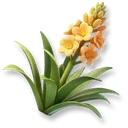 Agave icon