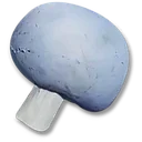 Blue Cap icon