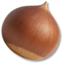 Chestnut icon