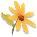 Extra-special Sunny Daisy icon