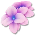 Nightgrass icon