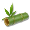 Quick Formula: Bamboo icon