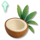 Quick Formula: Coconut icon