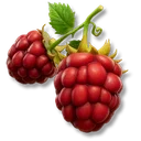 Red Raspberry icon