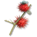 Red Thornfruit icon