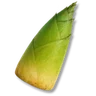 Bamboo Shoots