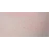 Blush 6