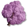 Cherry Tree