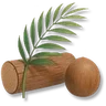 Coconut Tree Timber