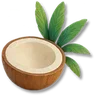 Coconut