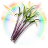 Colorful Sugarcane