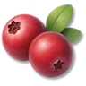 Cranberry