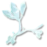 Essence of Ice