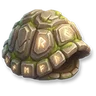 Giant Tortoise Shell