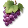 Grapes