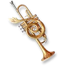 Gullcall Horn Pack