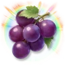 Huge Colorful Grapes