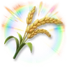 Huge Colorful Rice