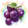Huge Colorful Sparkling Grapes