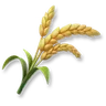 Huge Rice