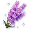 Huge Sparkling Lavender