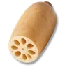 Lotus Root