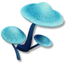 Lunashroom