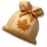 Maple Tree Seed