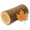 Maple Tree Timber