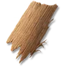 Palm Bark