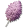 Pinkleaf Birch