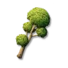 Pom-Pom Trees: I