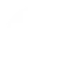 Pupils 13