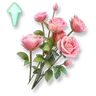 Quick Formula: Rose