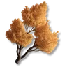 Ridgeback Tree