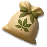 Rubber Tree Seed