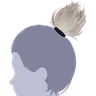 Short Ponytail