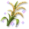 Sparkling Rice