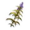 Spiked Herb