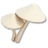 White Fluffroom