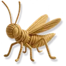 Woven Toy