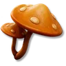 Yellow Mushroom