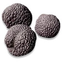 Truffle icon