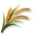 Wheat icon